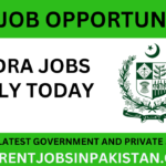 balochsitan rozgar nadra jobs