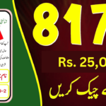 ehsas kafalat program check cnic