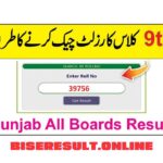 9th class result 2024 punjab board