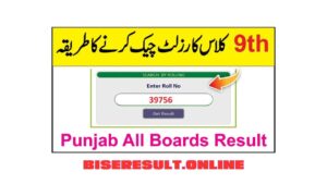 9th class result 2024 punjab board
